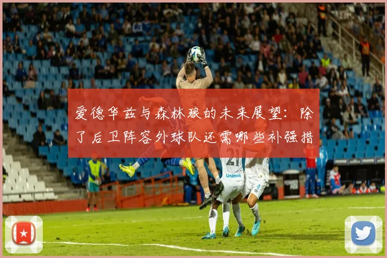 爱德华兹与森林狼的未来展望：除了后卫阵容外球队还需哪些补强措施