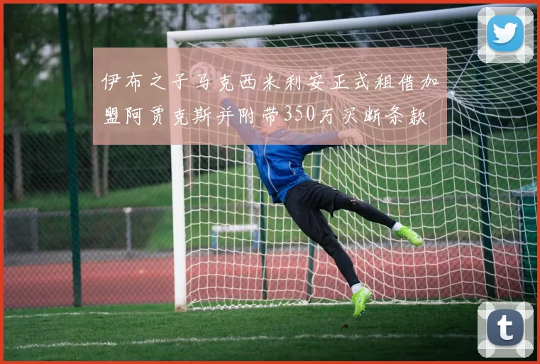 伊布之子马克西米利安正式租借加盟阿贾克斯并附带350万买断条款