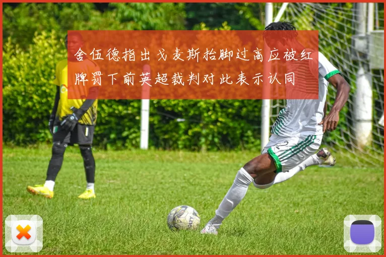 舍伍德指出戈麦斯抬脚过高应被红牌罚下前英超裁判对此表示认同