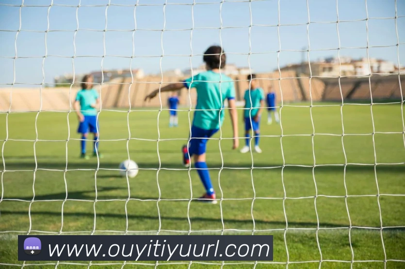 欧亿体育全站App